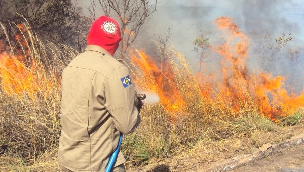 Governo ir aplicar R$ 5 milhes em campanhas contra queimadas.